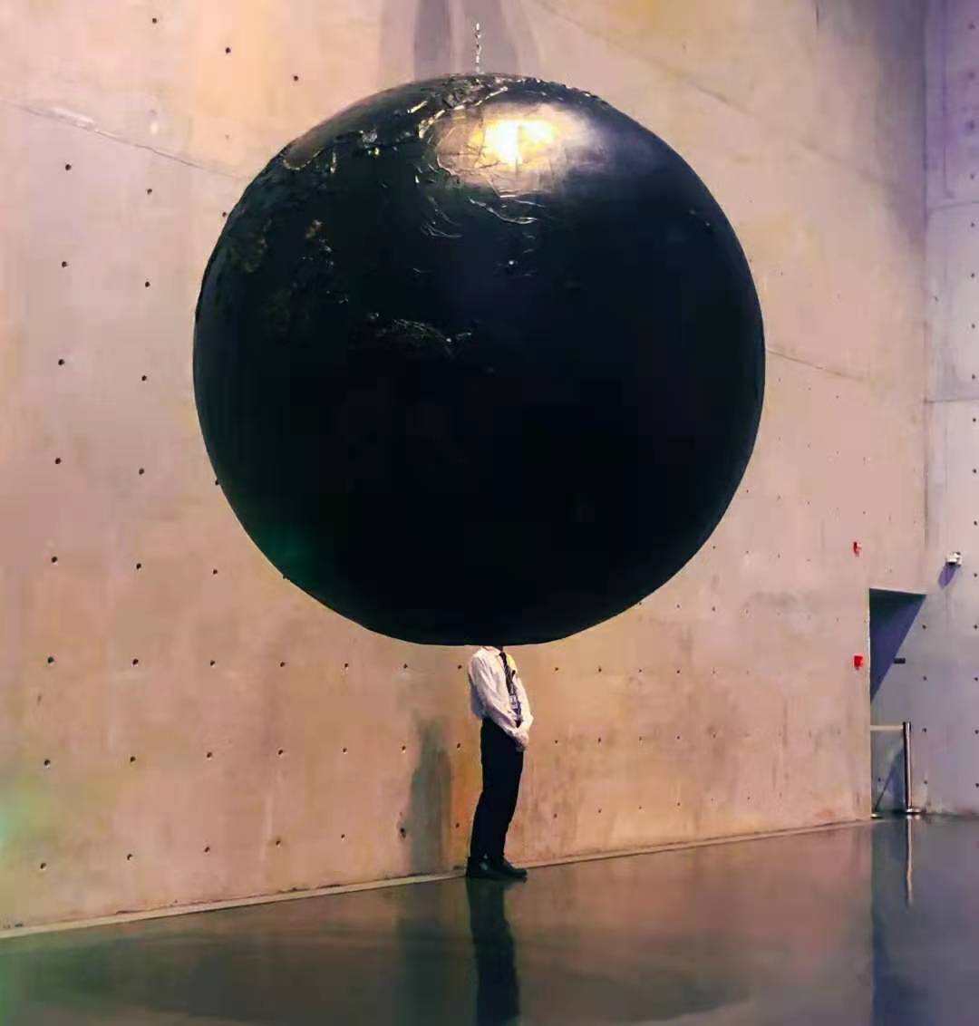 333720995.jpg