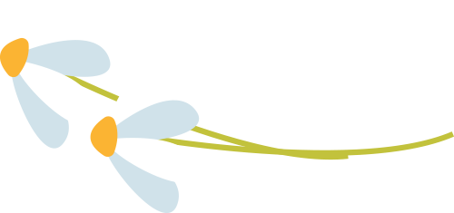 微信图片_2025-06-03_093219_465.png