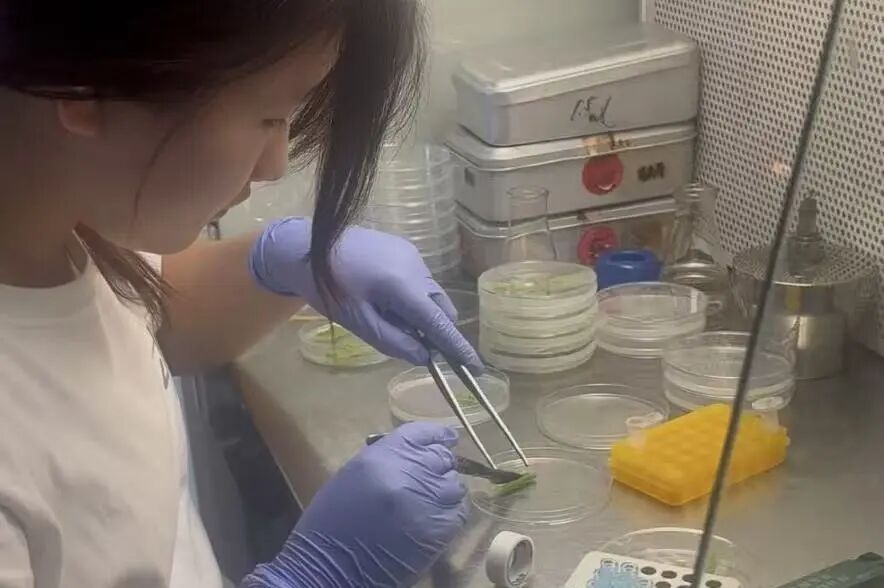 1763945555909808.jpg 微信图片_2025-11-24_084638_366.jpg