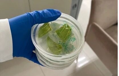 1763946505925231.jpg 微信图片_2025-11-24_084649_480.jpg