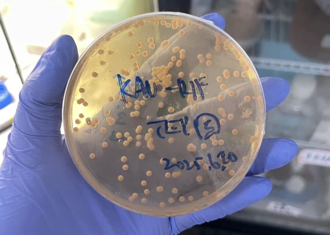 1763946522867648.jpg 微信图片_2025-11-24_084653_659.jpg