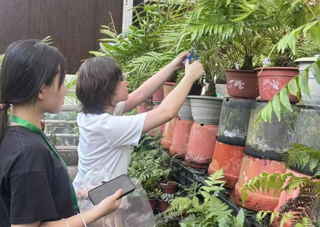 1763946910947946.jpg 微信图片_2025-11-24_084605_528.jpg