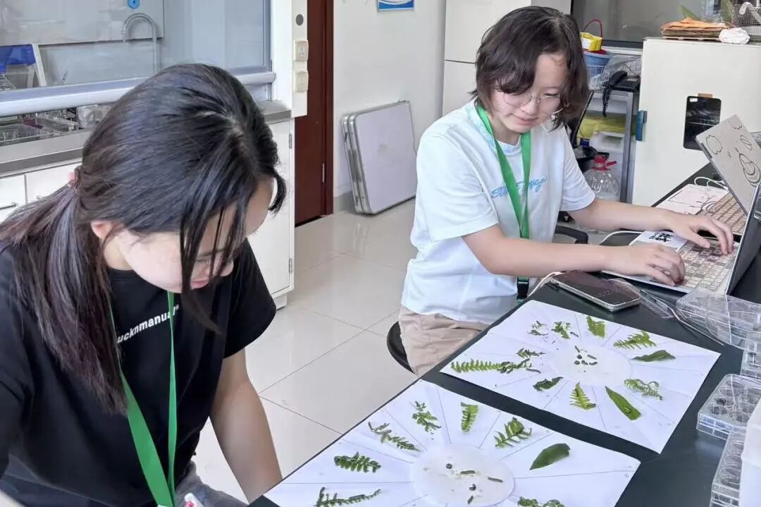 1763946970531308.jpg 微信图片_2025-11-24_084626_811.jpg