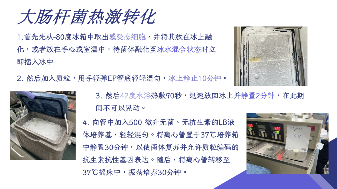 1763946980302902.png 微信图片_2025-11-24_084630_568.png