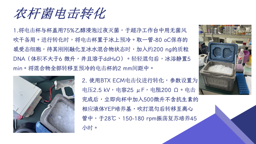 1763946995800233.png 微信图片_2025-11-24_084634_854.png