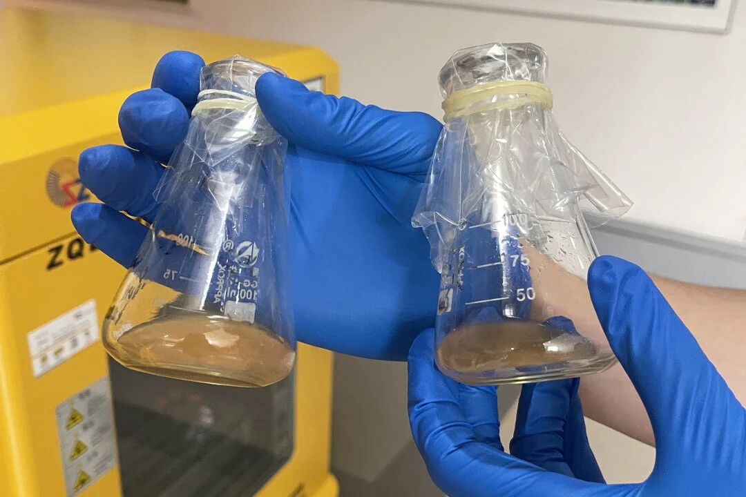 1763947017716066.jpg 微信图片_2025-11-24_084642_277.jpg