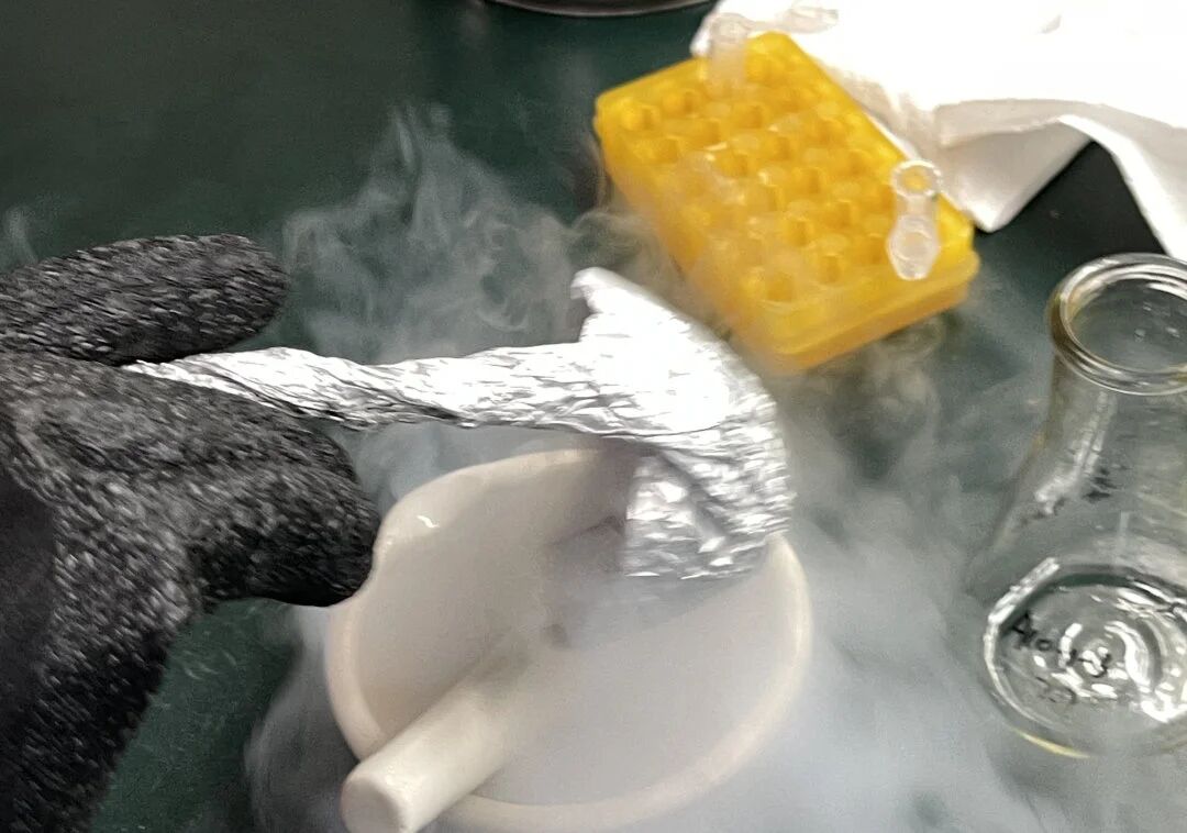 1763947032176682.jpg 微信图片_2025-11-24_084645_884.jpg