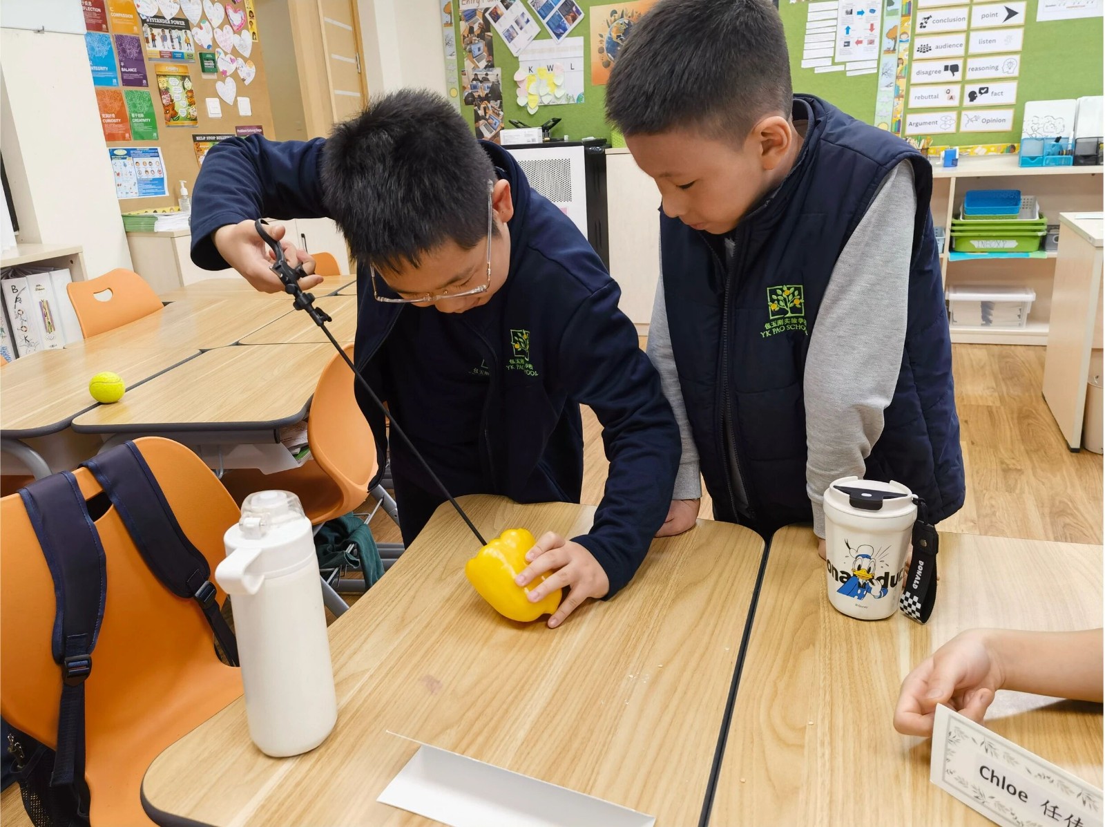 1764573233741246.jpg 微信图片_2025-12-01_145824_173.jpg