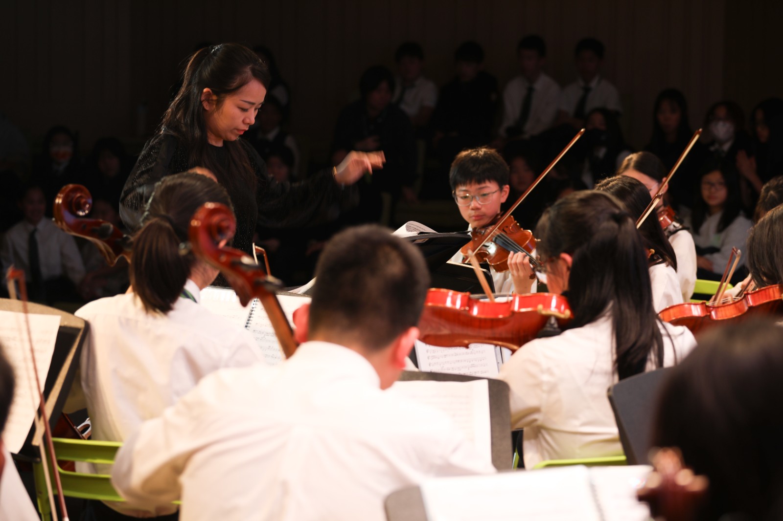 1768182204810733.jpg 907a5a3d8539d9c4cd46902a5db323ef.jpg