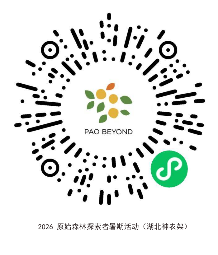 1769668208191556.png 原始森林.png