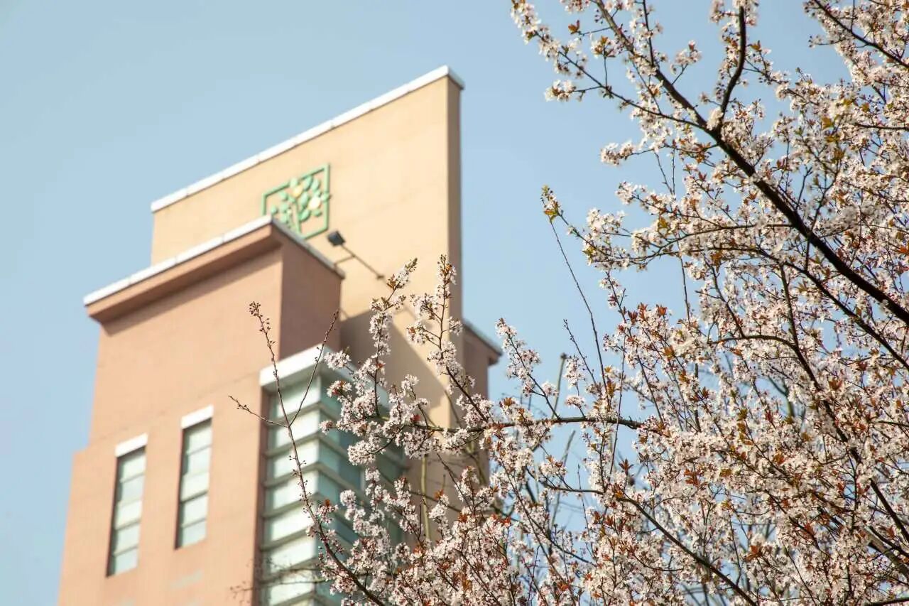 1770003282487513.jpg 微信图片_2026-02-02_113418_221.jpg