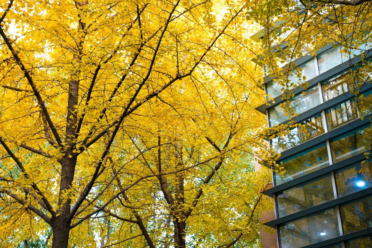 1770003290958538.jpg 微信图片_2026-02-02_113420_940.jpg