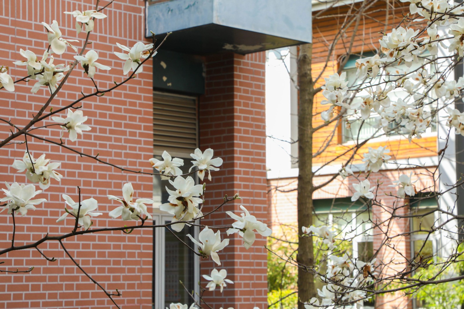 1770003297554657.jpg 微信图片_2026-02-02_113422_738.jpg