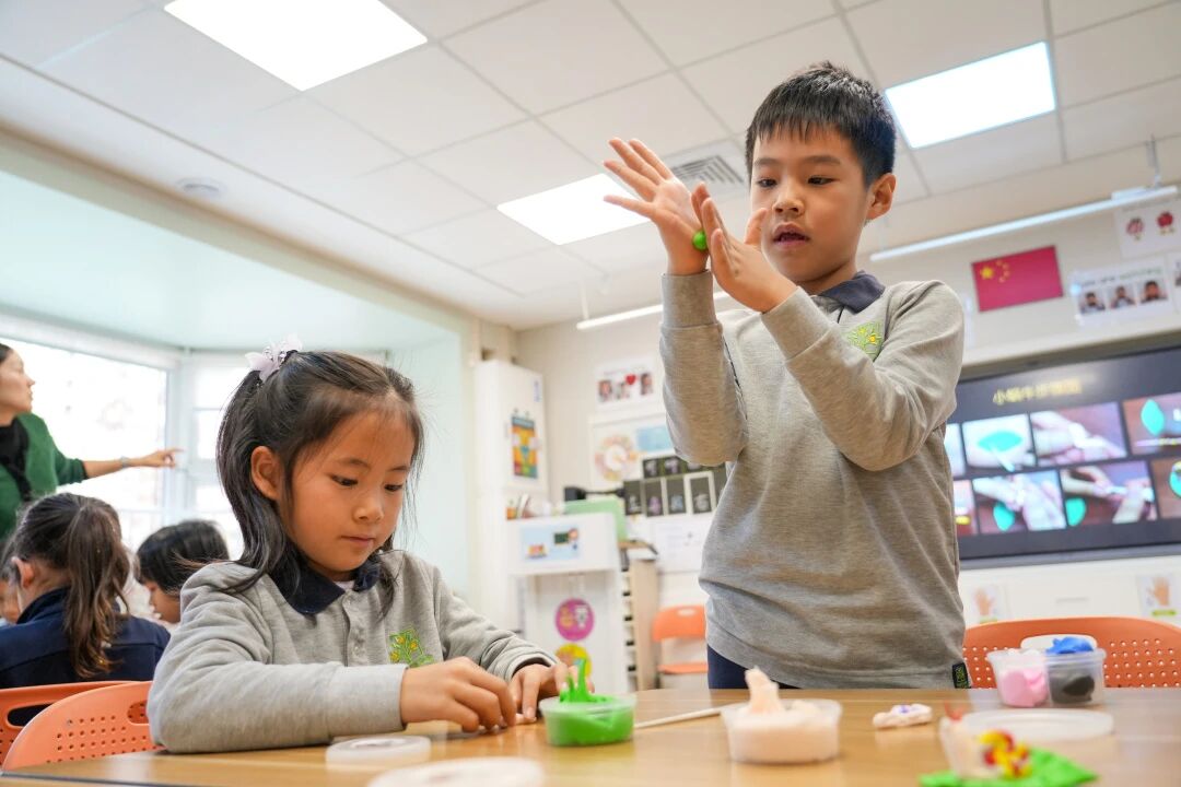 1770946803162445.jpg 微信图片_2026-02-13_092610_103.jpg