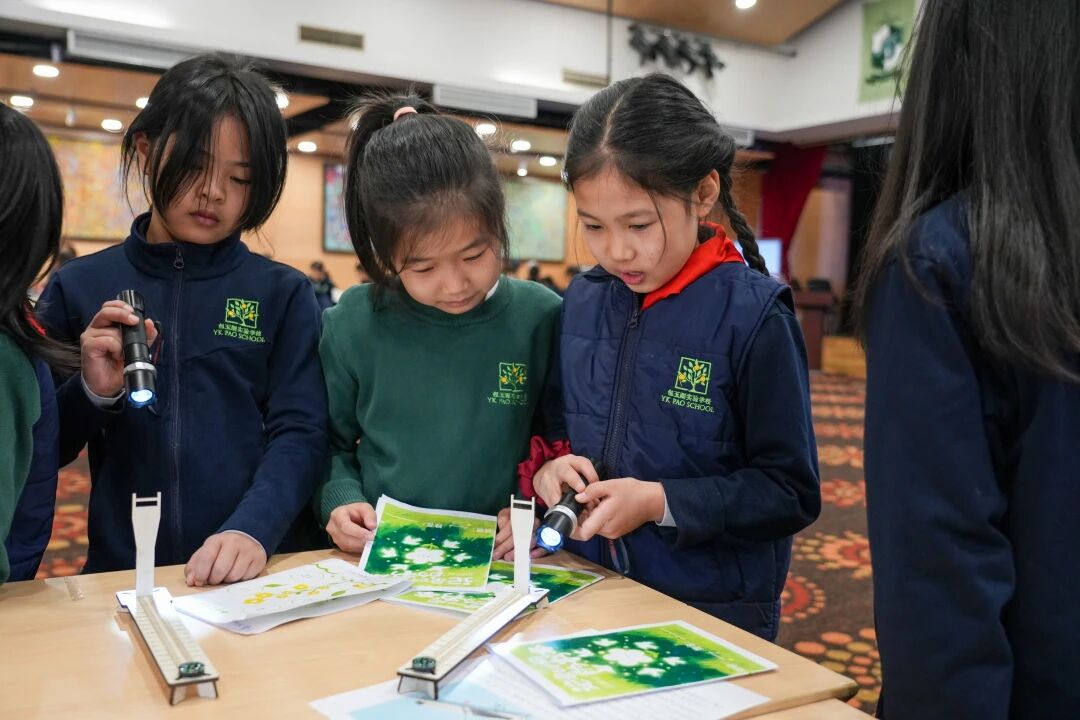 1770946991344397.jpg 微信图片_2026-02-13_092641_942.jpg