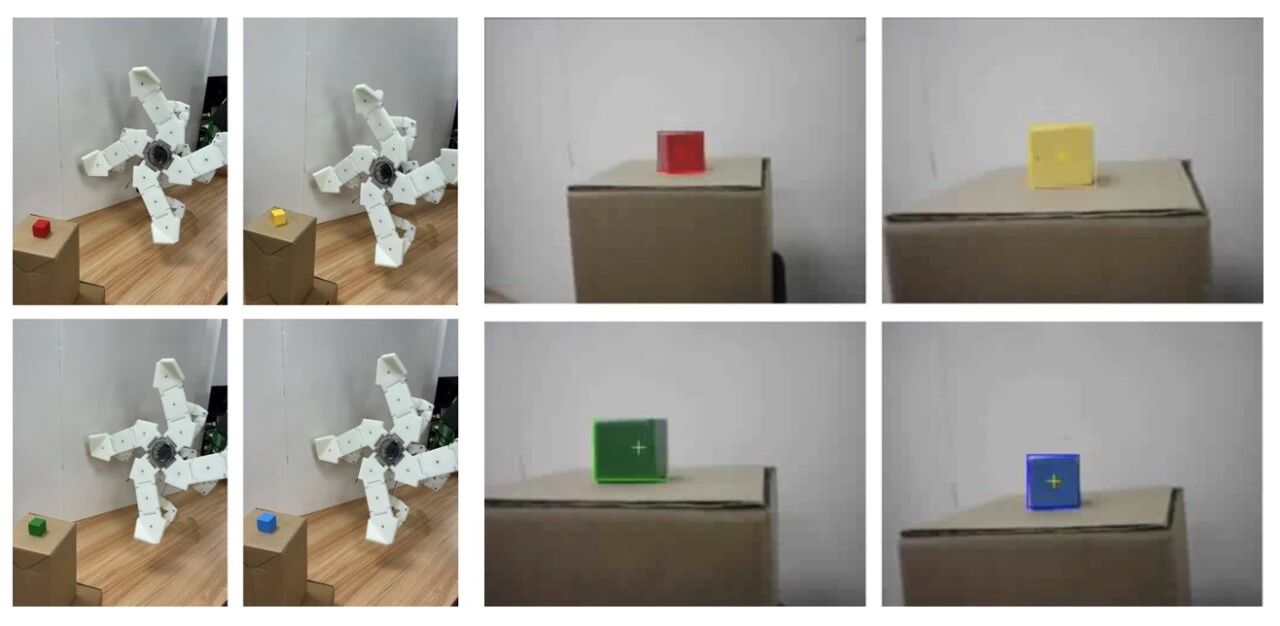 1789953545708693.jpg 微信图片_2026-09-21_085750_255.jpg